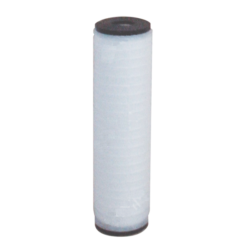 Cartouche Polyray 10" - 0.1 micron